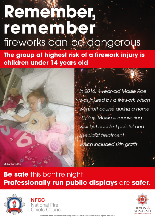 Remember Remember Organised Displays Are The Safest Place To Enjoy A remember-remember-organised-displays-are-the-safest-place-to-enjoy-a